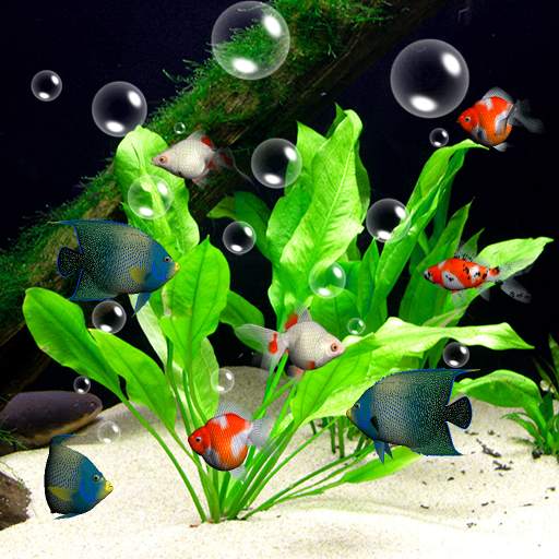 Aquarium Live Wallpaper 3D