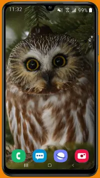Owl HD Wallpaper APK Download 2023 - Free - 9Apps Owl HD Wallpaper APK Download 2023 - Free - 9Apps