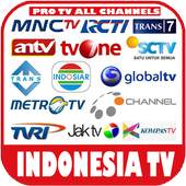 indonesia tv live