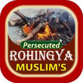 rohingya~persecuted rohingya muslims on 9Apps