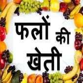 Fruit farming in Hindi