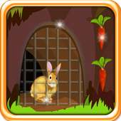 Conejo Escape de la jaula