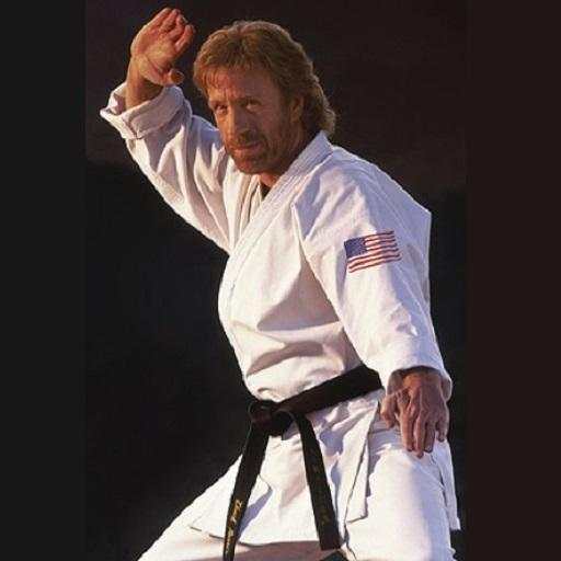 Chuck Norris The Best Movies