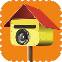 Picture Postie Photo Printing on 9Apps