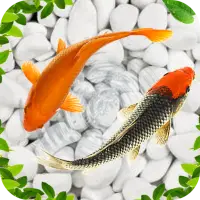 Descarga de la aplicación peces de pantalla en vivo 2021 fondos de acuario 2023 - Gratis - 9Apps Descarga de la aplicación peces de pantalla en vivo 2021 fondos de acuario 2023 - Gratis - 9Apps