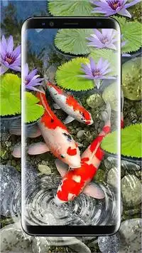 Koi Fish Live Wallpaper APK Download 2023 - Free - 9Apps Koi Fish Live Wallpaper APK Download 2023 - Free - 9Apps
