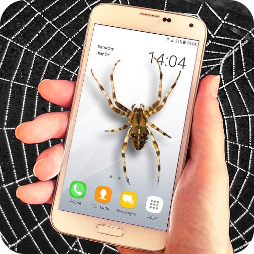 Spider filter prank