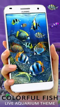 3d Aquarium Koi Wallpapers APK Download 2023 - Free - 9Apps 3d Aquarium Koi Wallpapers APK Download 2023 - Free - 9Apps