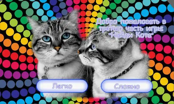 Игра найди кота