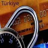 Credit Card     (Turkish)