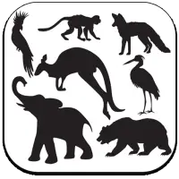 Animals Sounds Effects APK Download 2023 - Free - 9Apps
