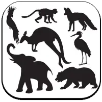 Animals Sounds Effects APK Download 2023 - Free - 9Apps Animals Sounds Effects APK Download 2023 - Free - 9Apps