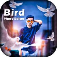 Bird Photo Editor on 9Apps