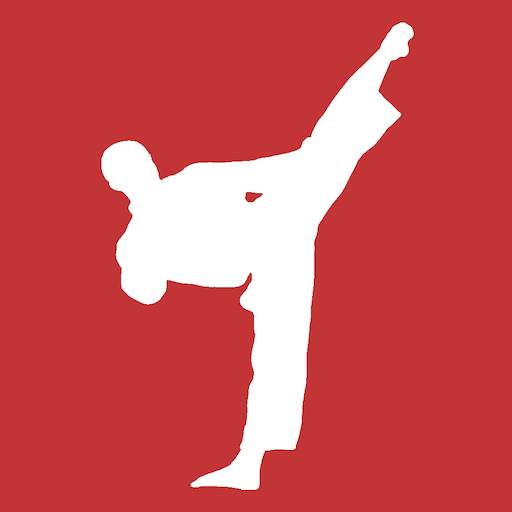 Mastering Taekwondo - Get Black Belt at Home