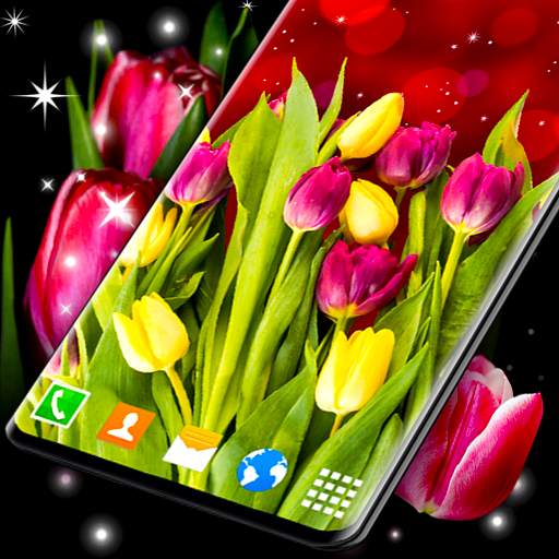 Tulip Live Wallpaper 🌷 Spring Flowers Garden