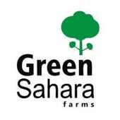 Green Sahara on 9Apps