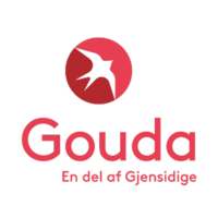 Gouda on 9Apps