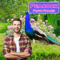 Peacock Photo Frames on 9Apps