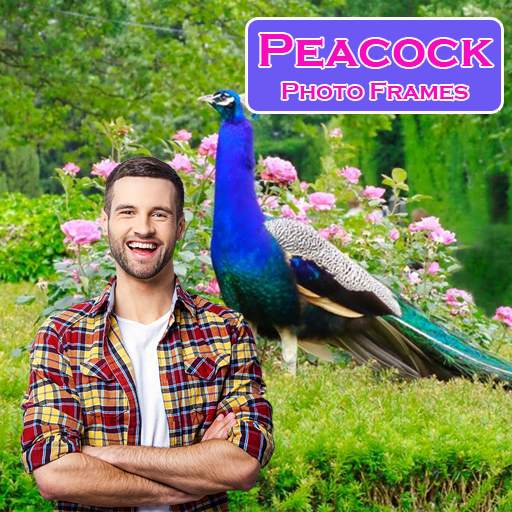 Peacock Photo Frames