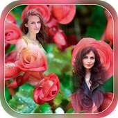 Transparent Rose Photo Frames - Multiple Photos on 9Apps