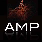AMP 2014