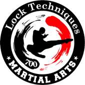 martial art (lock)