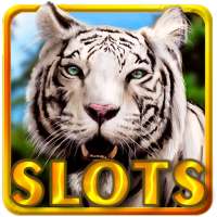 Slot Machine: Wild Cats Slots