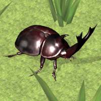 Bug Battle Simulator