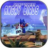 Guides For ANGRY BIRDS TRANSFORMERS
