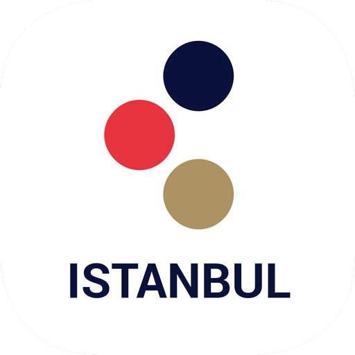 Istanbul map offline guide tourist navigation