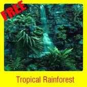 Tropical Rainforest on 9Apps