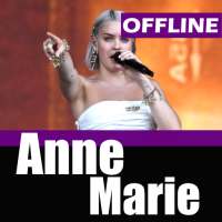 Anne-Marie - Friends OFFLINE MUSIC