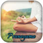 Pranayama - Breathing and Meditation App on 9Apps