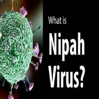 Nipah Virus