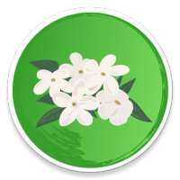 Udupi Mallige - Jasmine Flower on 9Apps