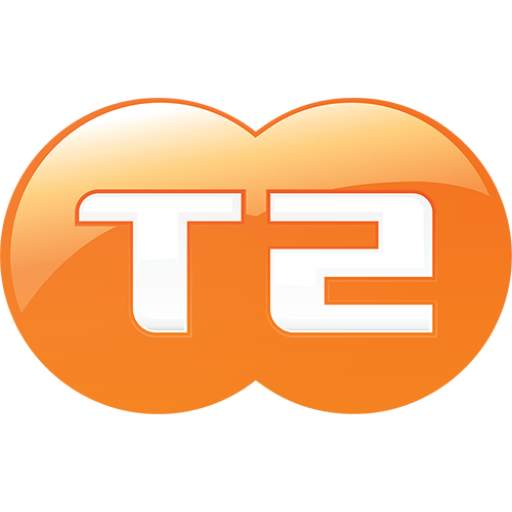 T2 VPN