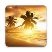 Beach Sunset Wallpaper on 9Apps