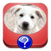 Razas de Perros Quiz