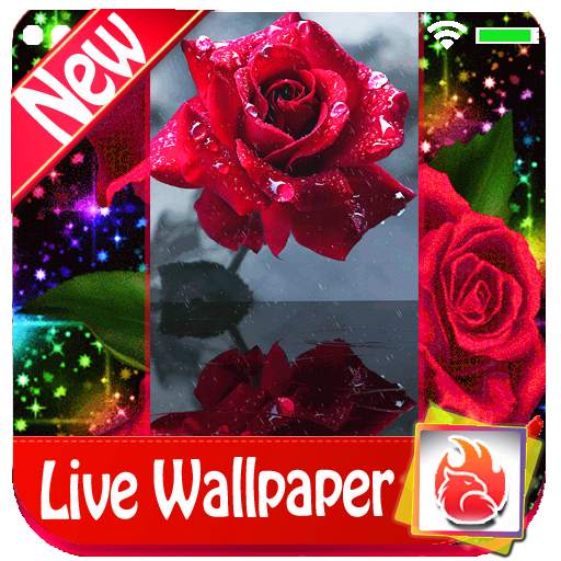 Red rose Live Wallpaper 2019 free Red rose LWP