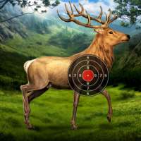 Deer Target Shooting on 9Apps
