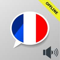 Learn French Vocabulary - speak french offline