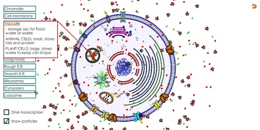 Animal Cell for High School Science APK Download 2023 - Free - 9Apps Animal Cell for High School Science APK Download 2023 - Free - 9Apps