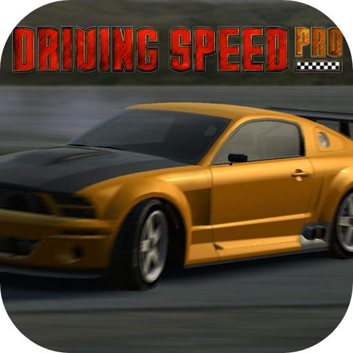 Driving Speed Pro