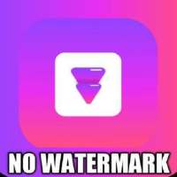 No Watermark Video Download For All Social Media