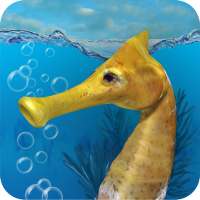 Seahorse 3D