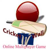 Multiplayer Cricket Game