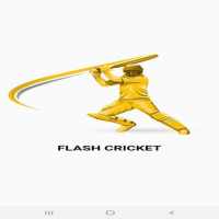 Flash Cricket fastest cricket Score