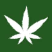 Cannabis Stores