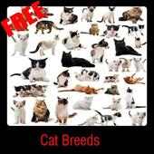 Cat Breeds on 9Apps