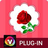 Valentine's Rose for Venus on 9Apps